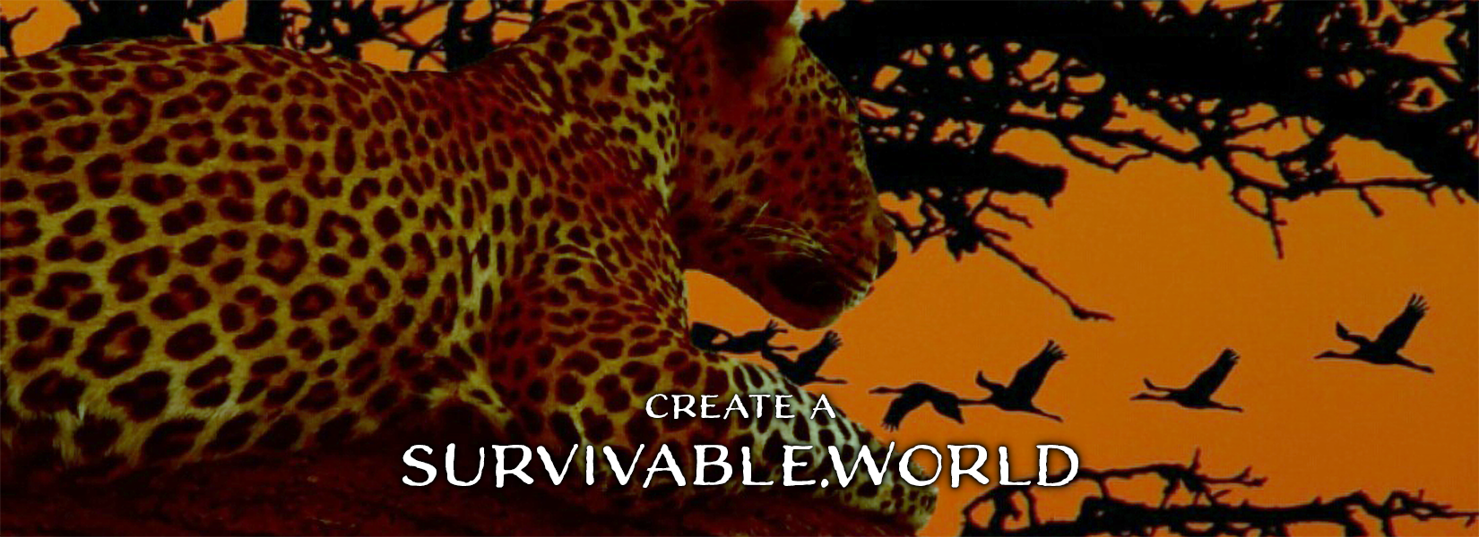 Why Survivable.World?